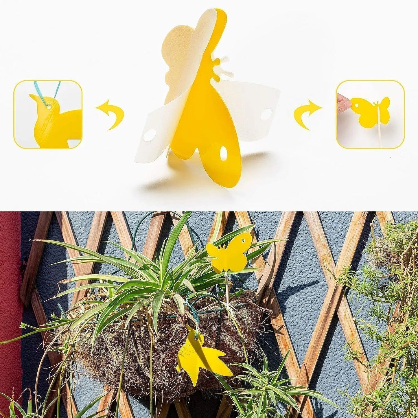 Houseplant Sticky Traps Non-Toxic Decorative Set of 59