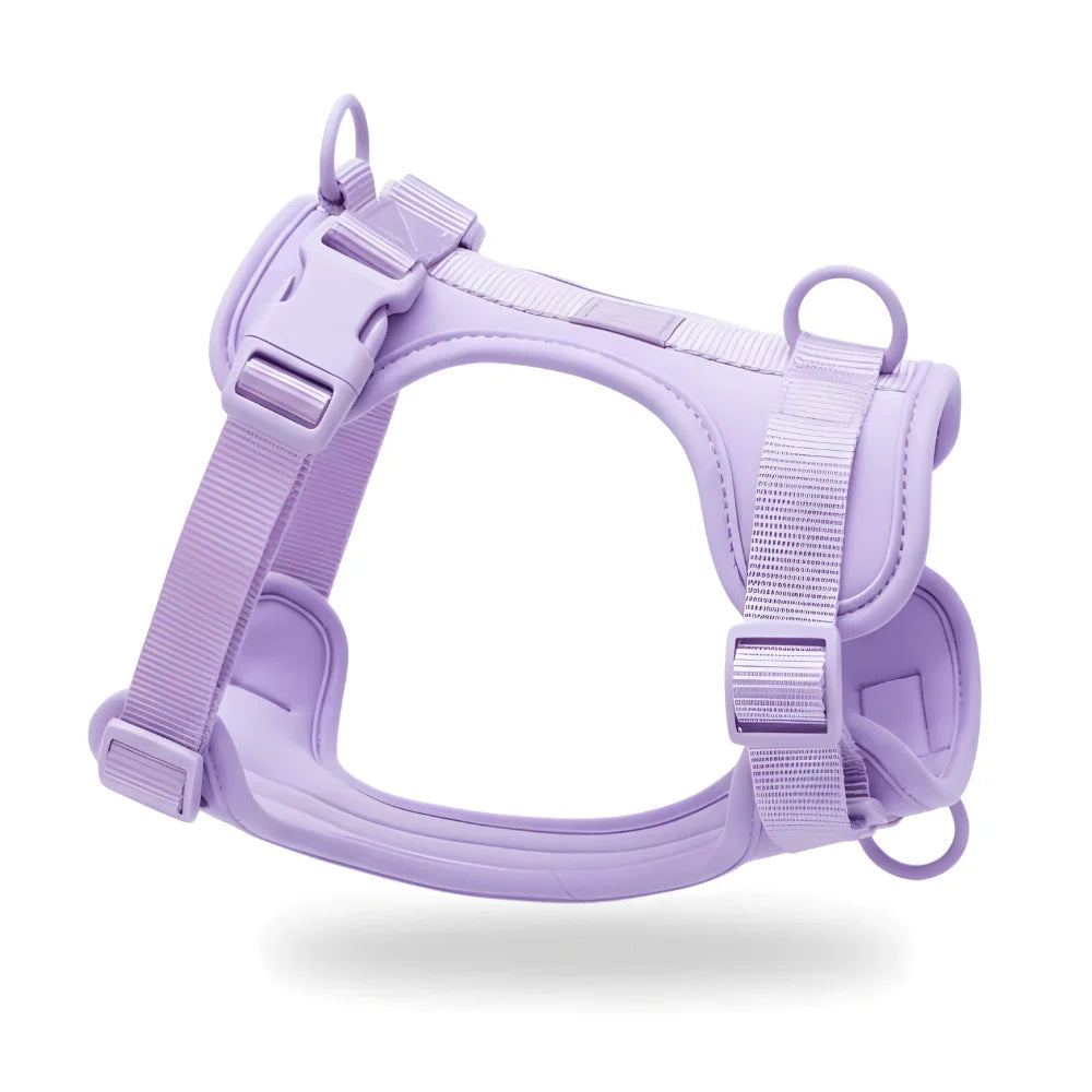 Comfort Fit Dog Harness with Breathable Mesh and Durable Nylon