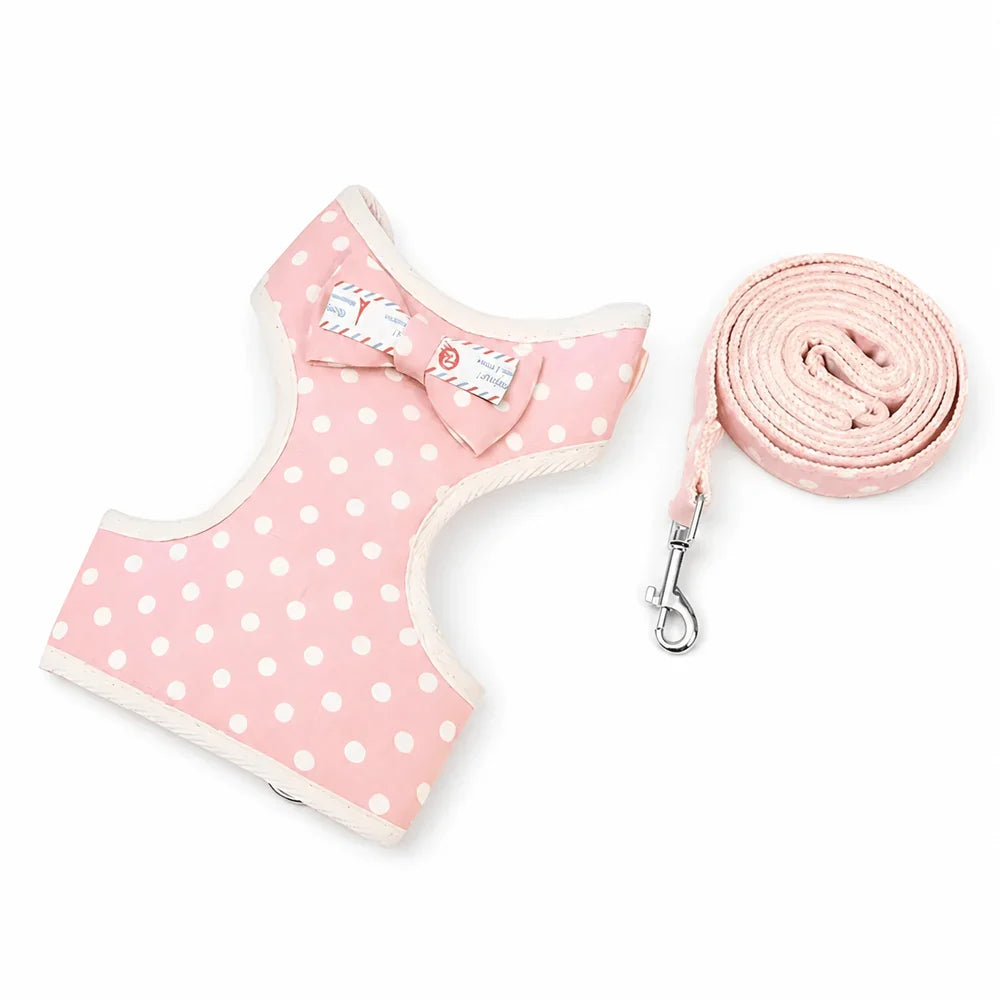 Comfortable Cat Harness and Leash Duo for Outdoor Adventures