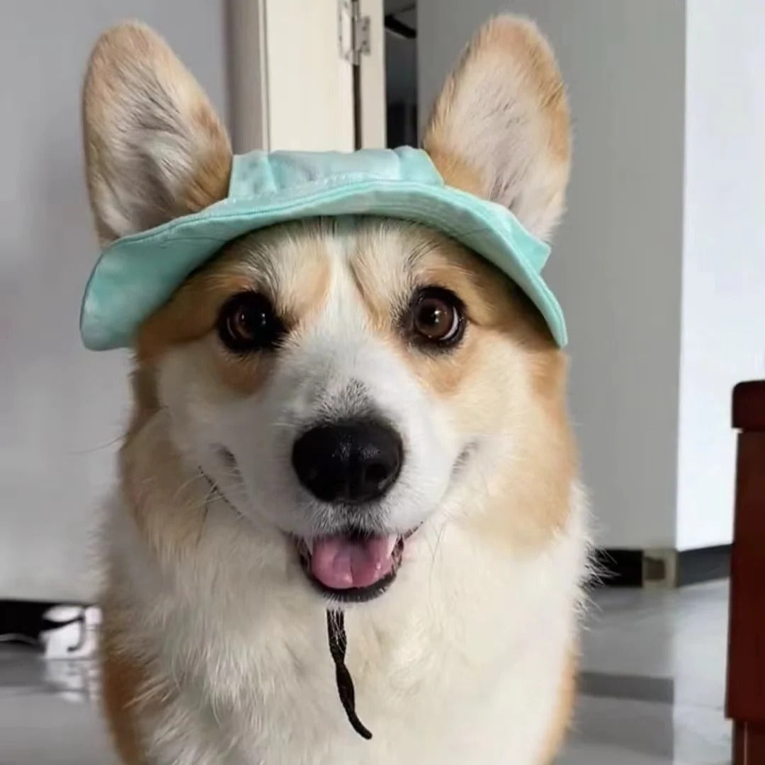 Summer Shade Dog Hat with Adjustable Chin Strap