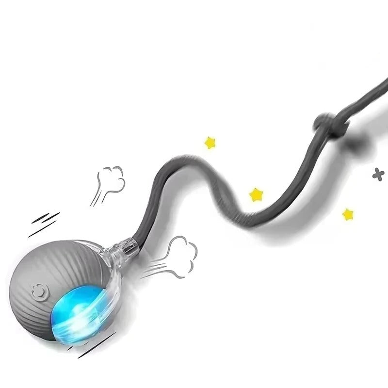 Rechargeable Pet Play Ball for Engaging Fun