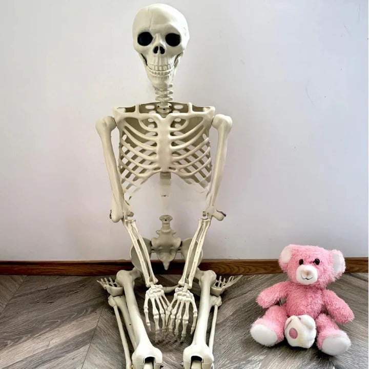 Life-Size Posable Skeleton for Spooky Halloween Decor