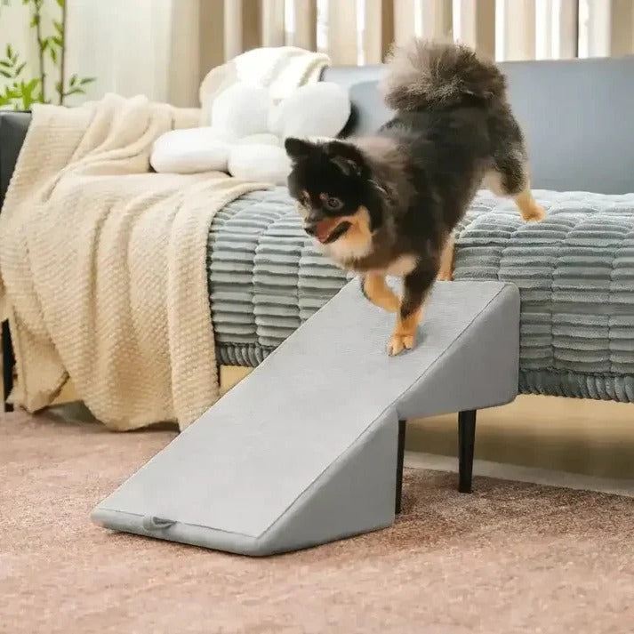 Versatile Pet Access Ramp and Step Stool for Dogs
