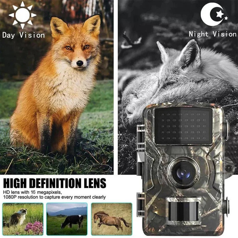 All-Weather Wildlife Surveillance Camera with Night Vision