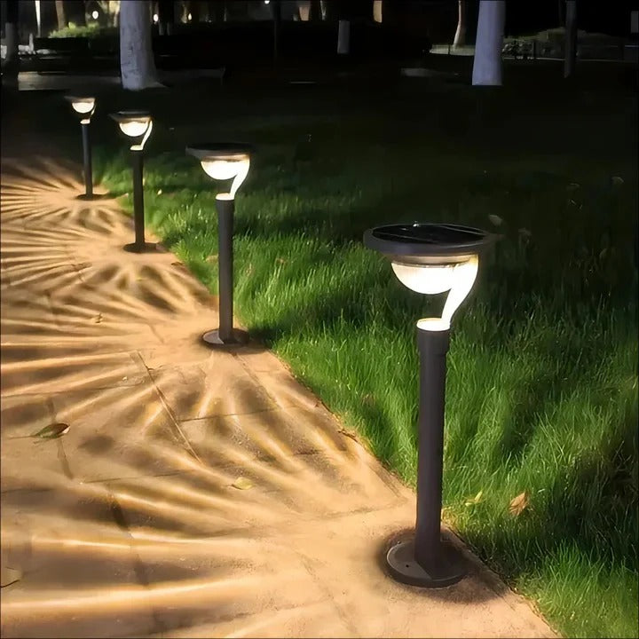 Eco-Friendly Solar Garden Light with Motion Sensor