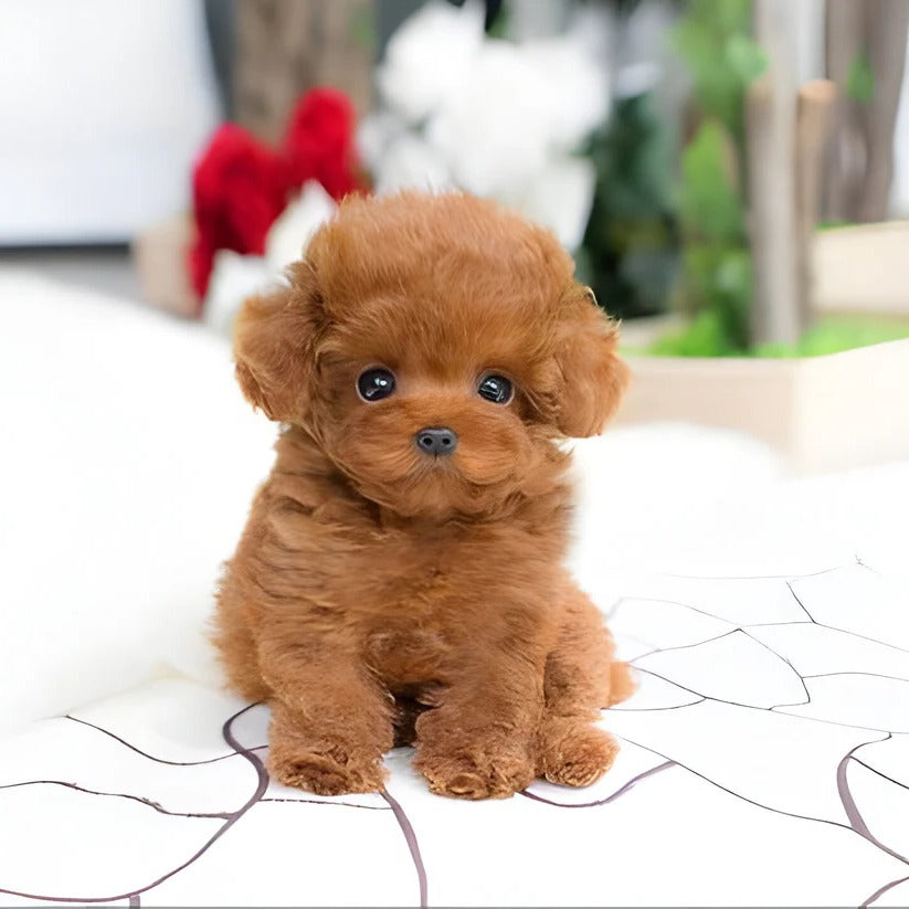 Cuddly Weighted Puppy Plush Toy for Comfort and Fun