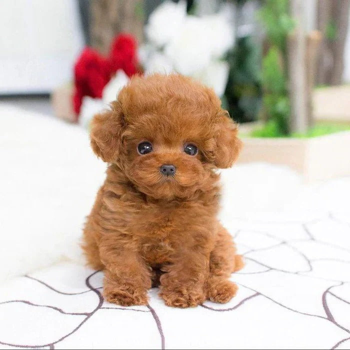 Cuddly Weighted Plush Dog for Ultimate Comfort