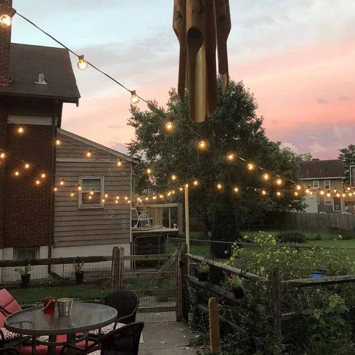 Charming LED String Lights for Outdoor and Indoor Decor