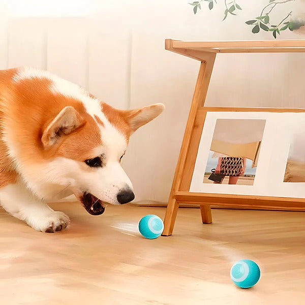 Smart Rechargeable Rolling Pet Play Ball for Cats & Dogs