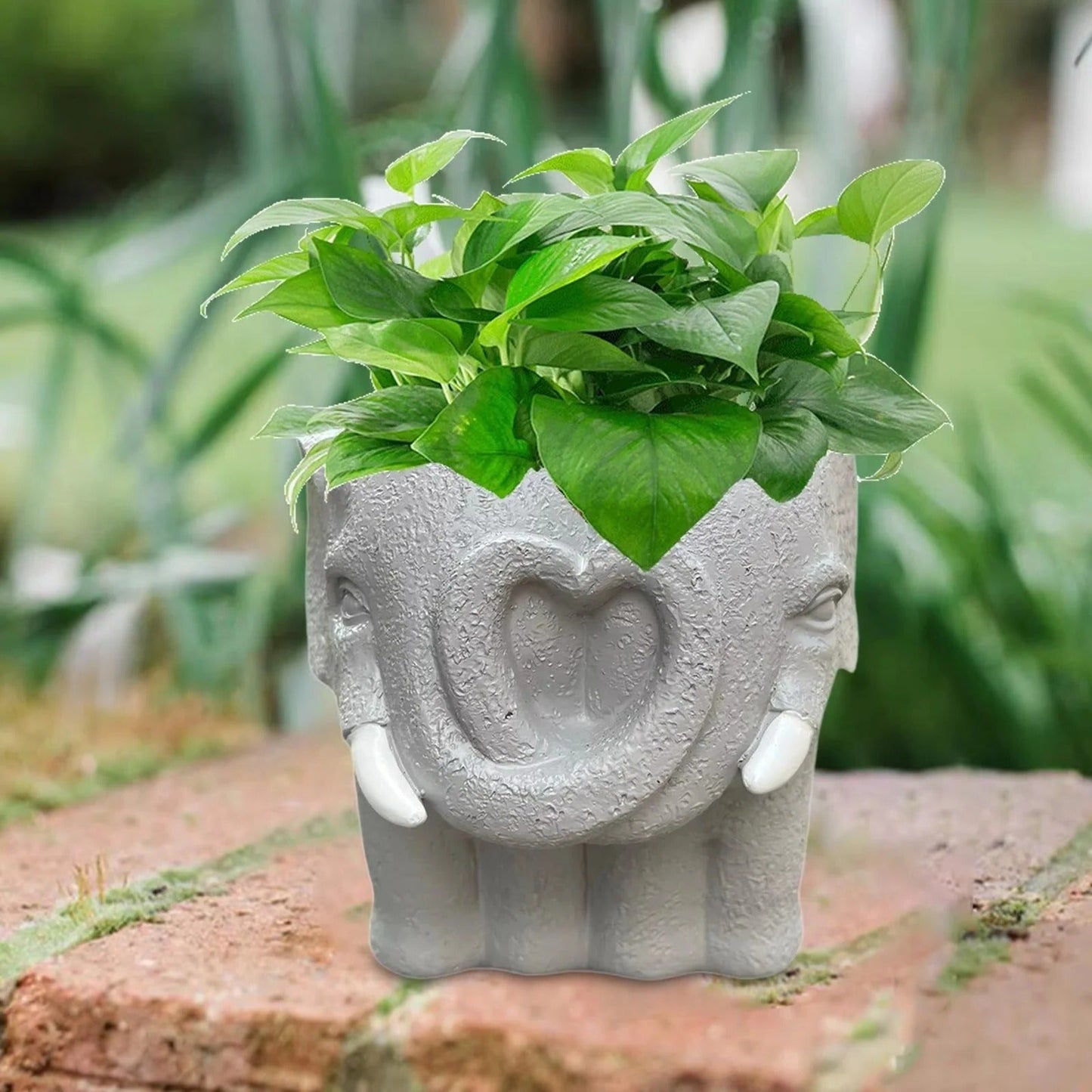 Charming Resin Planter for Stylish Indoor Spaces