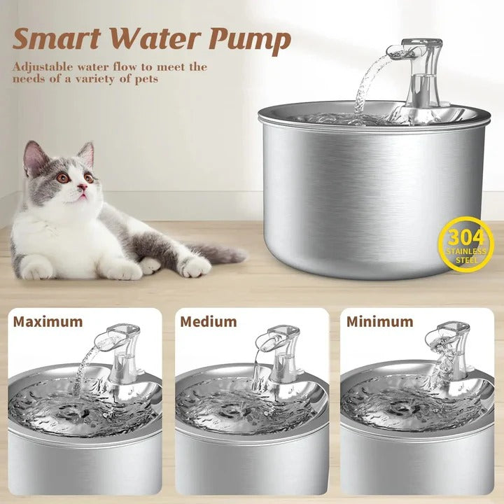 Smart Pet Water Fountain with Motion Activation and Filtration