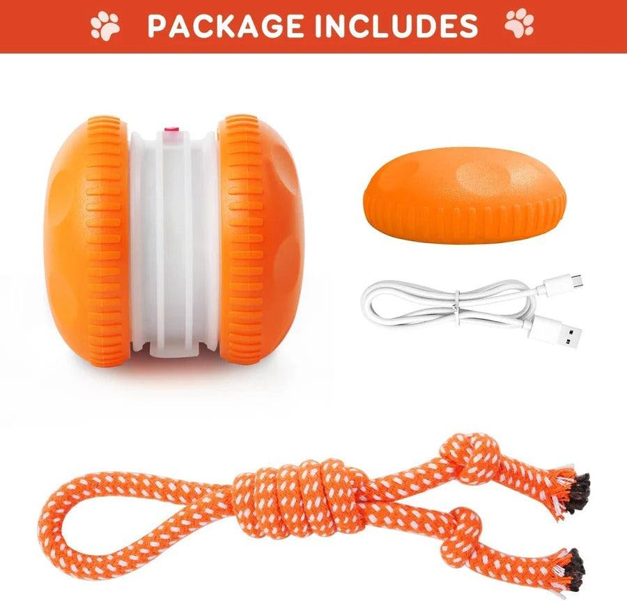 Interactive Rolling Dog Toy with Carry Rope – 2 Pack Set