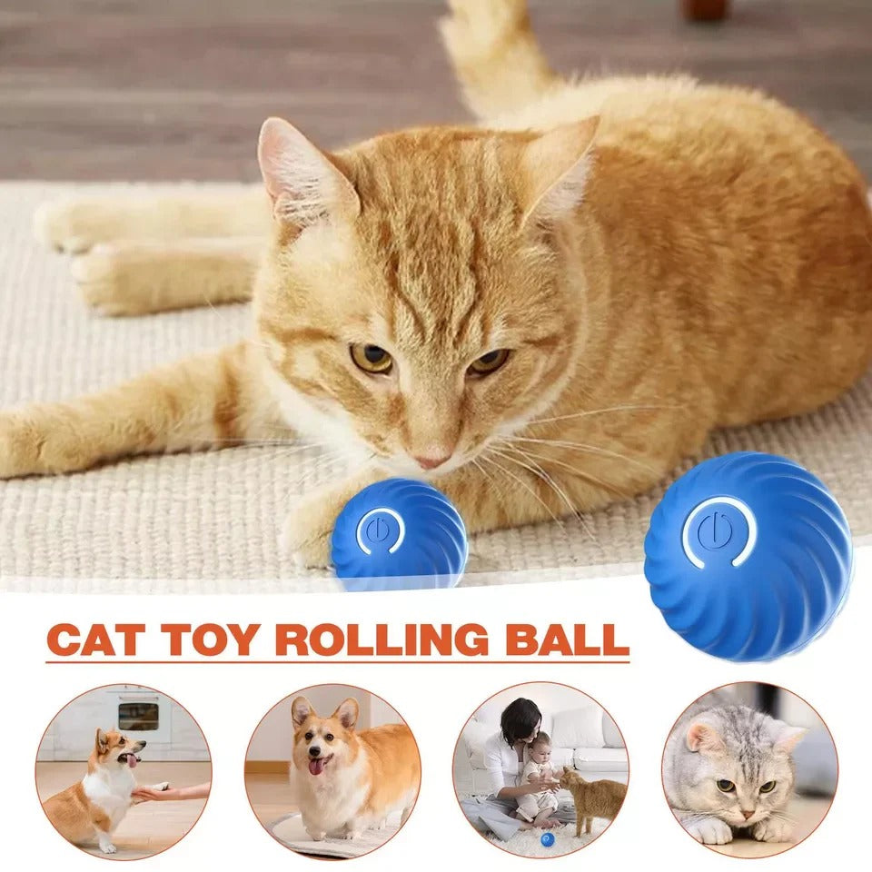 Smart Interactive Rolling Sphere with Dynamic Motion