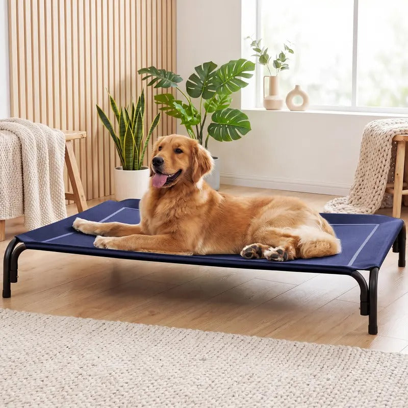 Premium Elevated Dog Bed for Enhanced Comfort and Ventilation