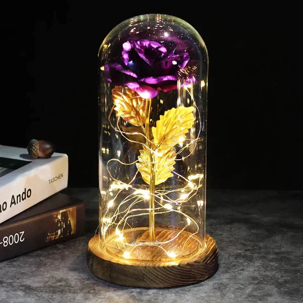 Everlasting Rose in Illuminated Glass Dome Display
