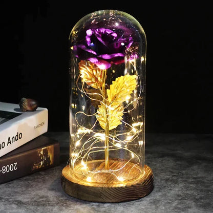 Everlasting Rose in Illuminated Glass Dome Display
