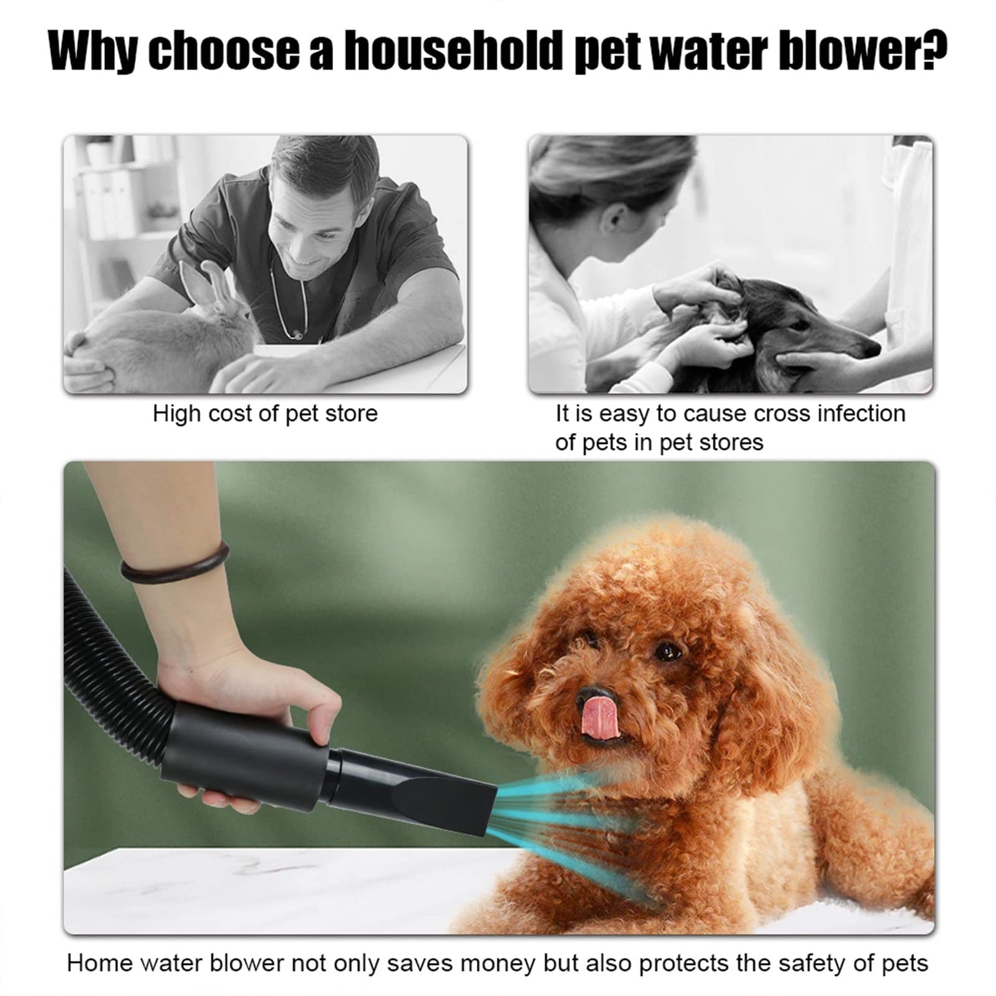 Rapid Drying Dog Grooming Blower with Adjustable Settings
