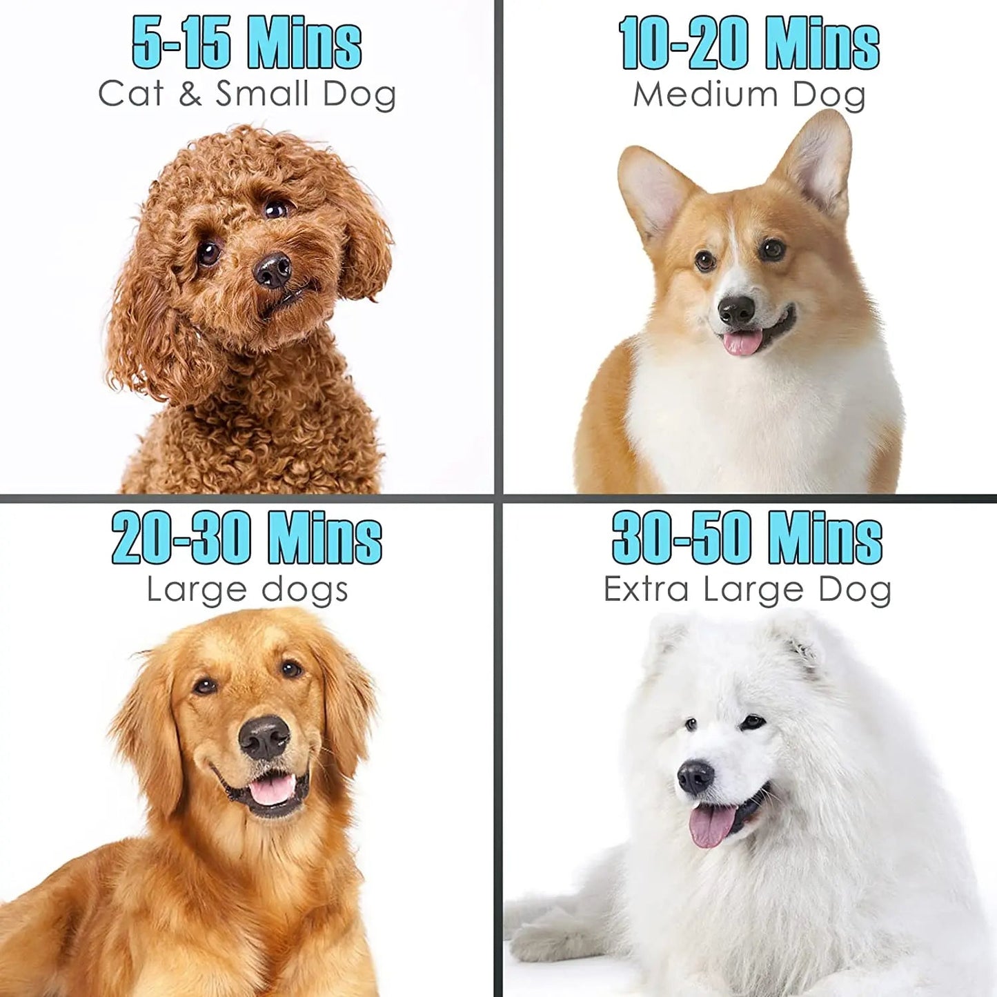 Rapid Drying Dog Grooming Blower with Adjustable Settings