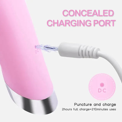 Heated Facial Cleansing Brush with 5 Vibration Settings