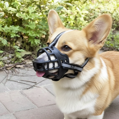 Comfort Fit Dog Muzzle with Customizable Straps