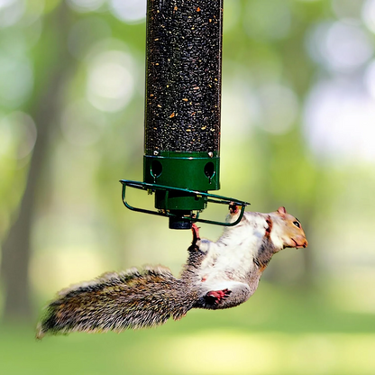Squirrel-Defying Bird Feeder with Durable Metal Frame - Green