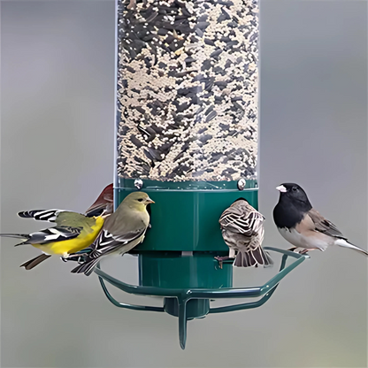 Squirrel-Defying Bird Feeder with Durable Metal Frame - Green