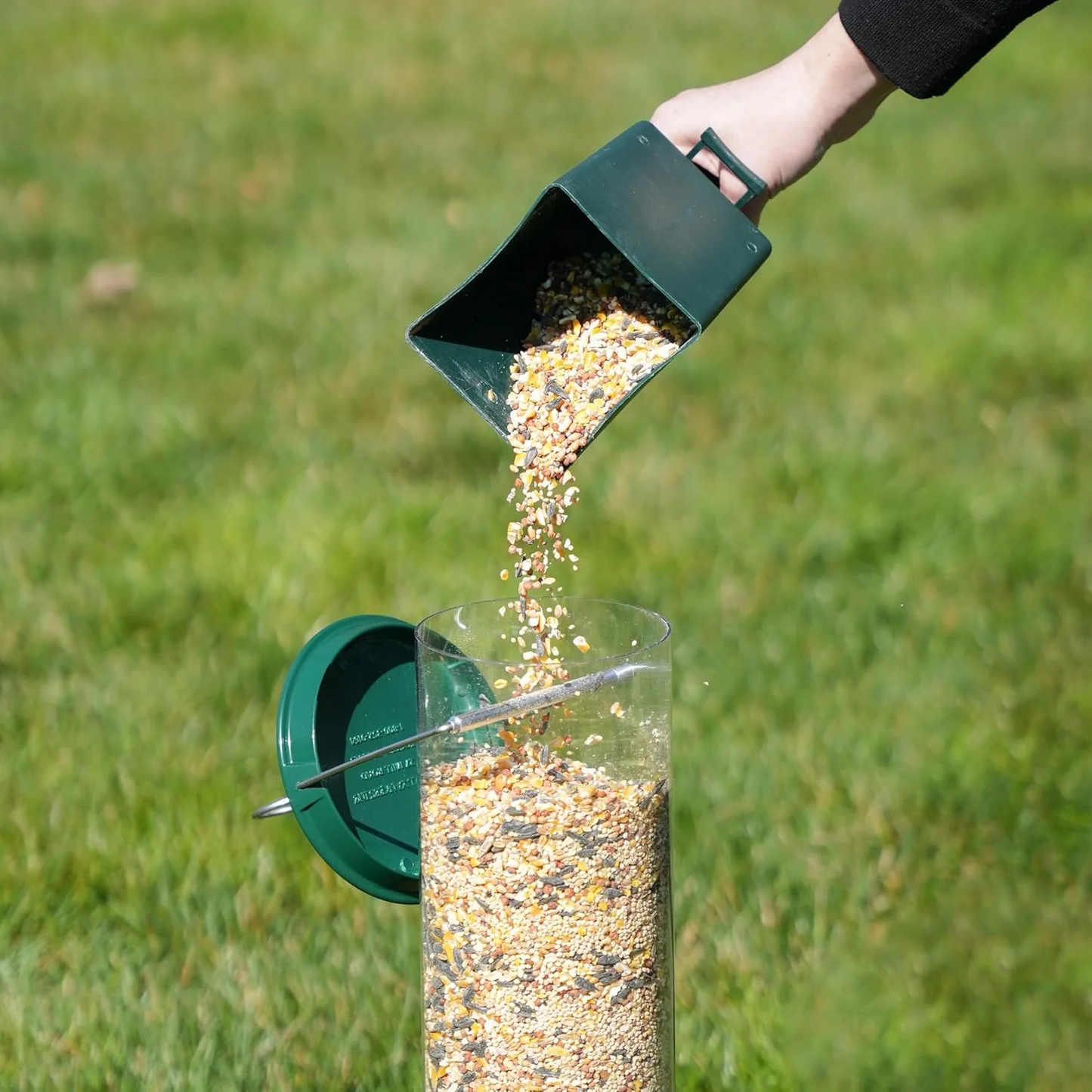 Squirrel-Defying Bird Feeder with Durable Metal Frame - Green