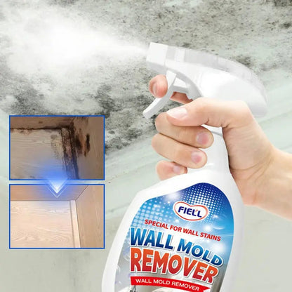 Anti-Mold Spray Fast-Acting Formaldehyde-Free