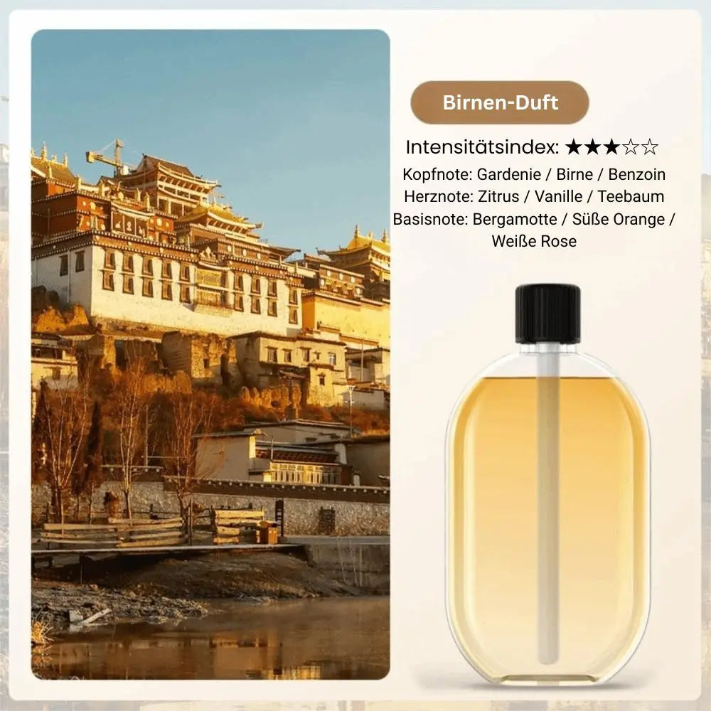 Aroma Diffuser Nano Mist & Mood Light USB Rechargeable