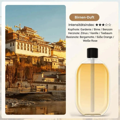 Aroma Diffuser Nano Mist & Mood Light USB Rechargeable