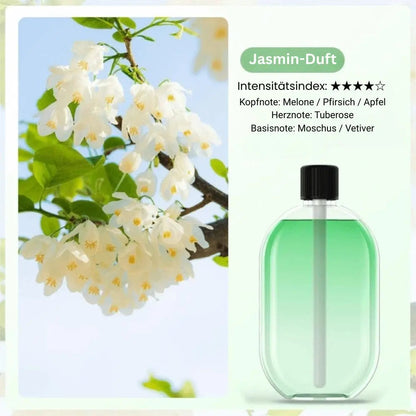 Aroma Diffuser Nano Mist & Mood Light USB Rechargeable