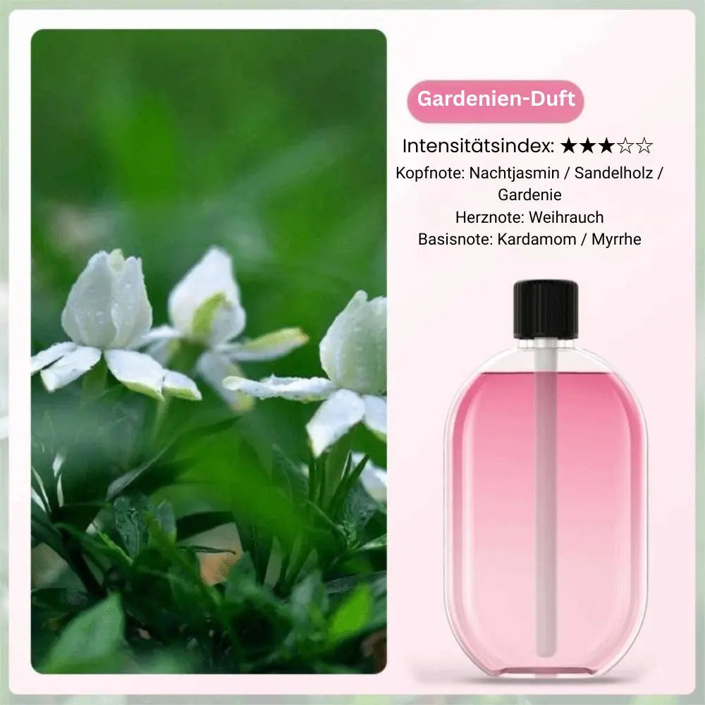 Aroma Diffuser Nano Mist & Mood Light USB Rechargeable