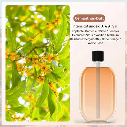 Aroma Diffuser Nano Mist & Mood Light USB Rechargeable