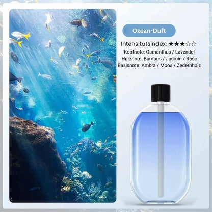 Aroma Diffuser Nano Mist & Mood Light USB Rechargeable