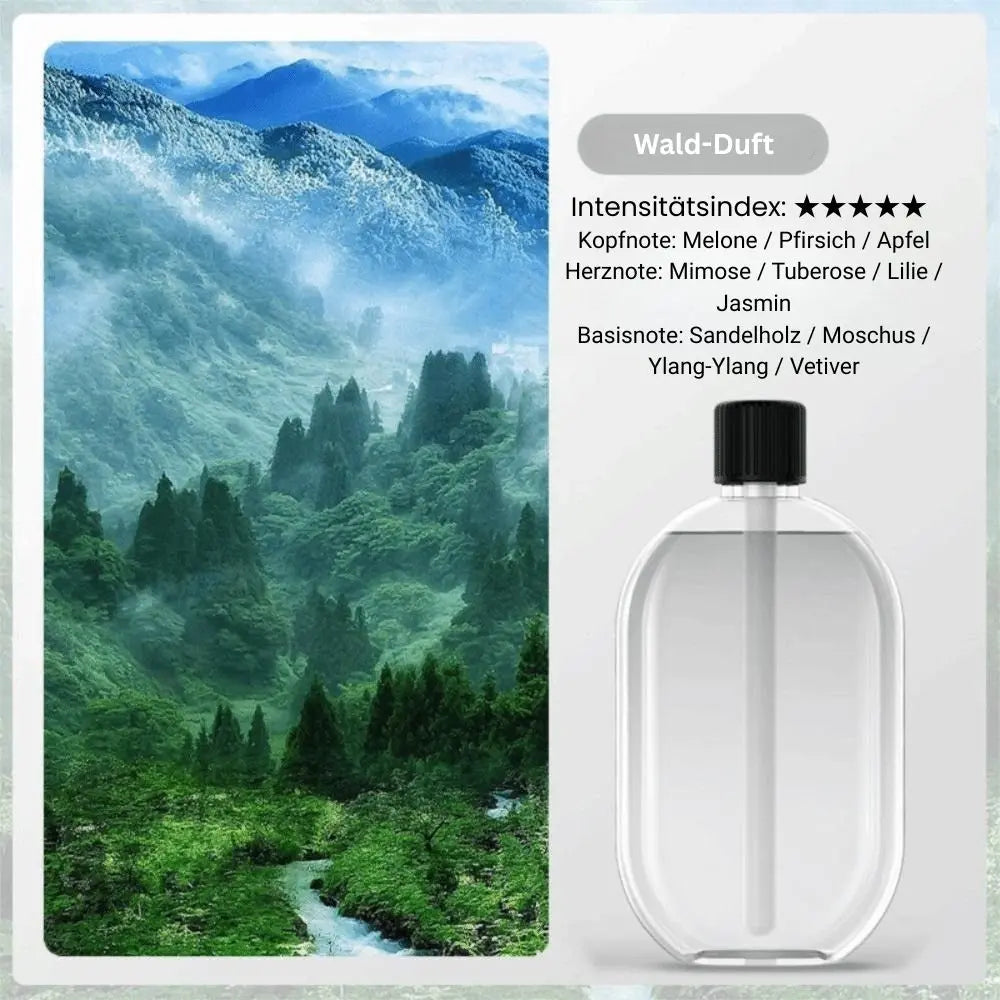 Aroma Diffuser Nano Mist & Mood Light USB Rechargeable
