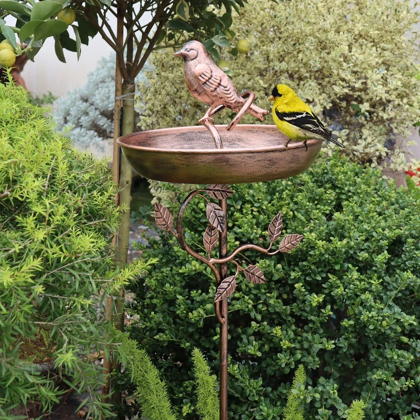 Bird Bath Low Bowl Decorative Metal Pedestal Tool-Free Assembly