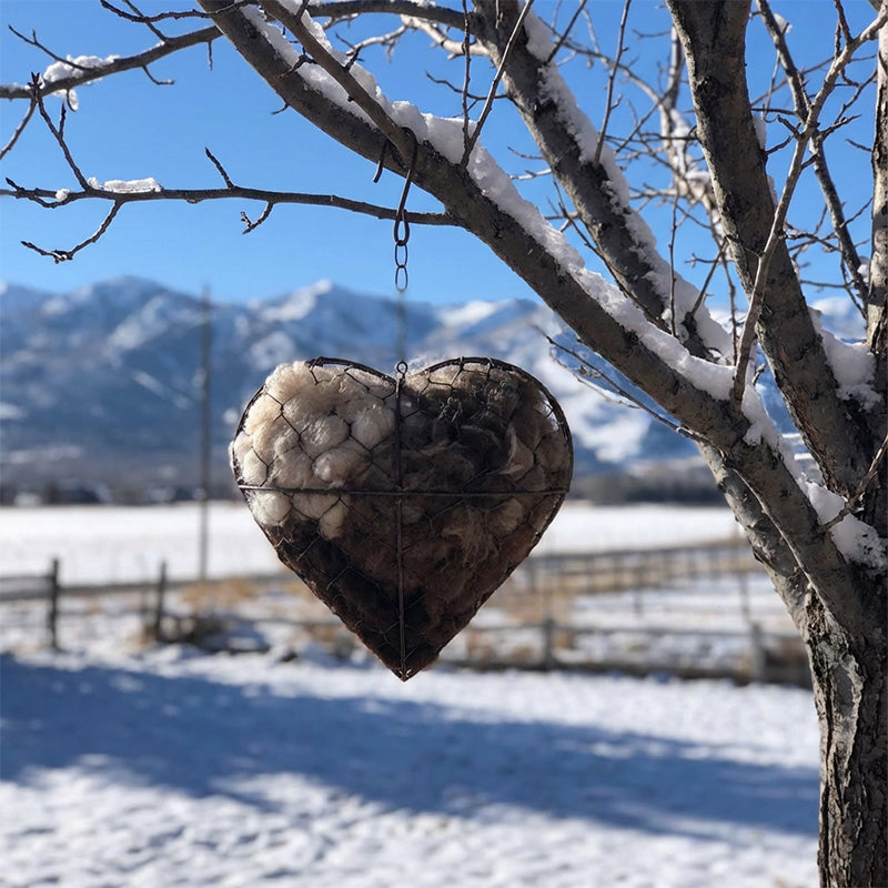 Bird Nesting Holder Heart Shaped Iron Ready To Hang