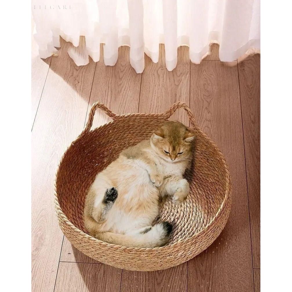 Cat Bed Bamboo Woven Raised Edge Removable Plush Cushion