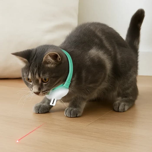 Cat Collar Automatic Laser Adjustable TPU Band