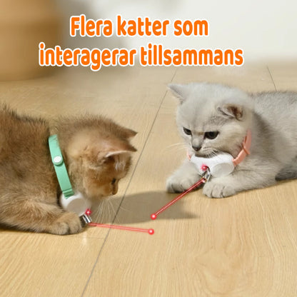 Cat Collar Motion-Activated Laser Hypoallergenic Adjustable Fit