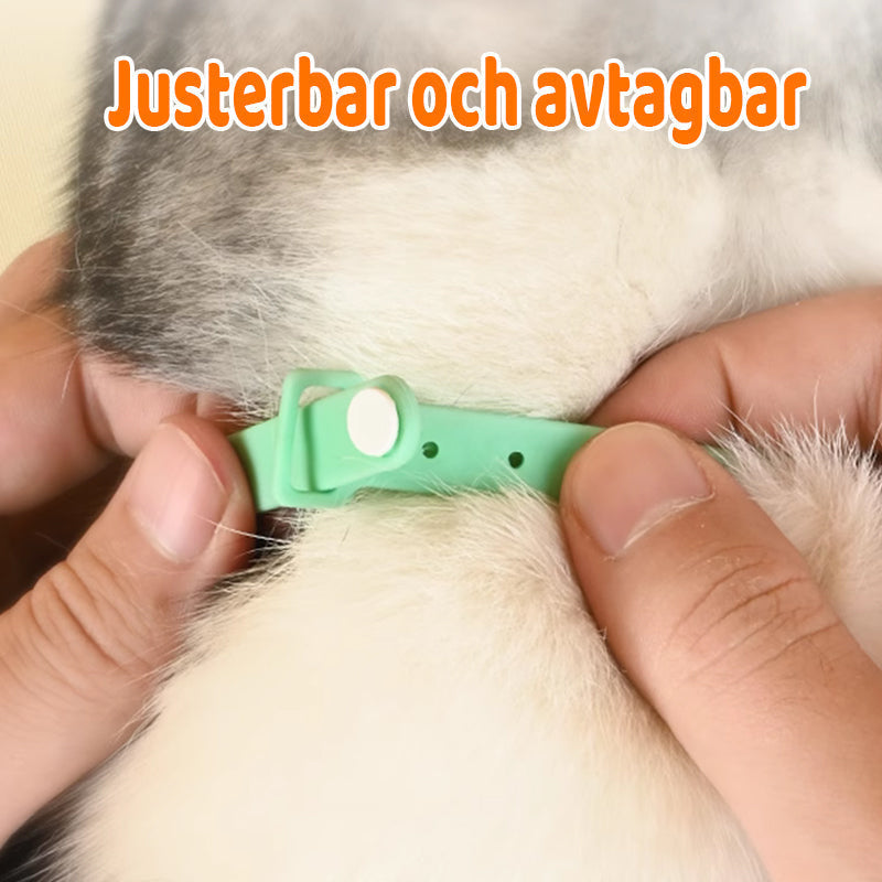 Cat Collar Motion-Activated Laser Hypoallergenic Adjustable Fit