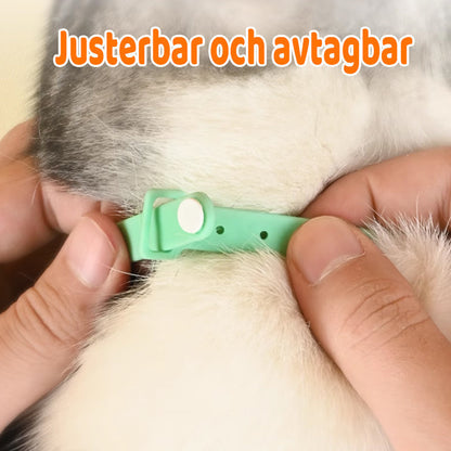 Cat Collar Motion-Activated Laser Hypoallergenic Adjustable Fit