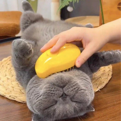 Cat Grooming Brush Integrated Spray & Massage Bristles