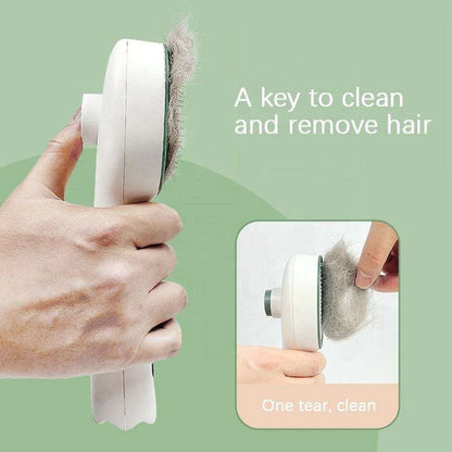 Cat Grooming Brush UV Light & Soft Rubber Bristles
