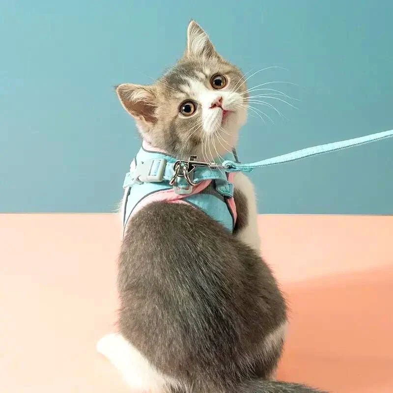 Cat Harness & Leash Set Padded Reflective Quick-Release