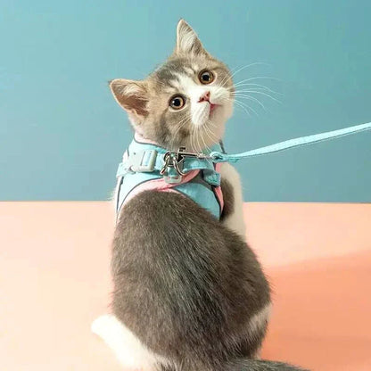 Cat Harness & Leash Set Padded Reflective Quick-Release
