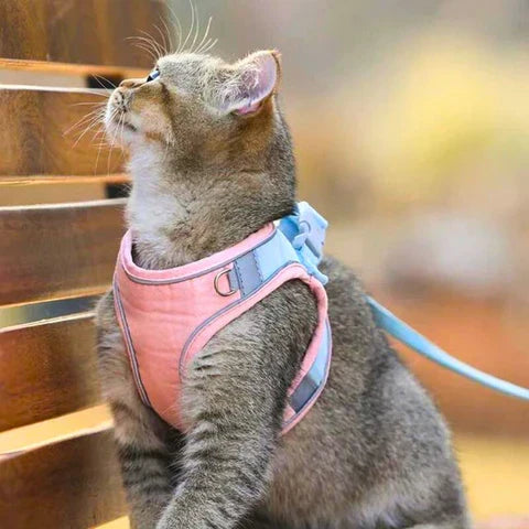 Cat Harness & Leash Set Padded Reflective Quick-Release