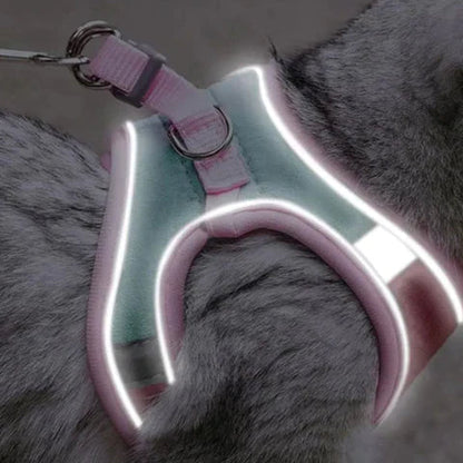 Cat Harness & Leash Set Padded Reflective Quick-Release
