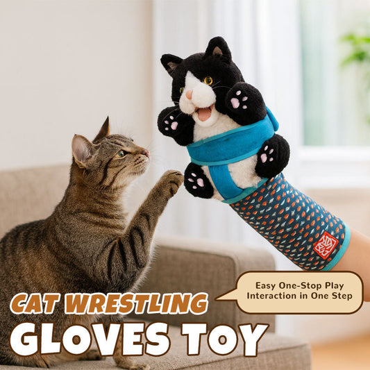 Cat Play Glove Padded Protective With Valerian Pouches