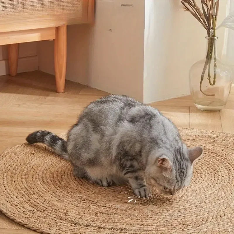 Cat Scratching Mat Braided Jute Flat Scratch & Rest